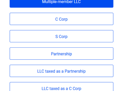 Types of corporations in USA