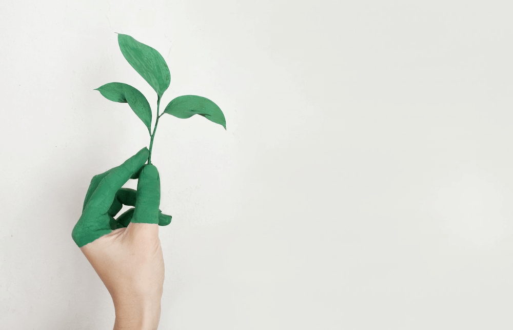 sustainability at sani asterias