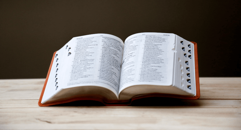 words that start with v