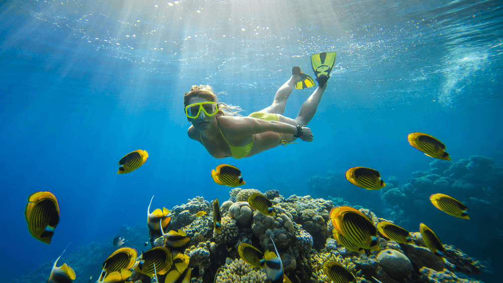 Snorkelling at Kihaa Maldives