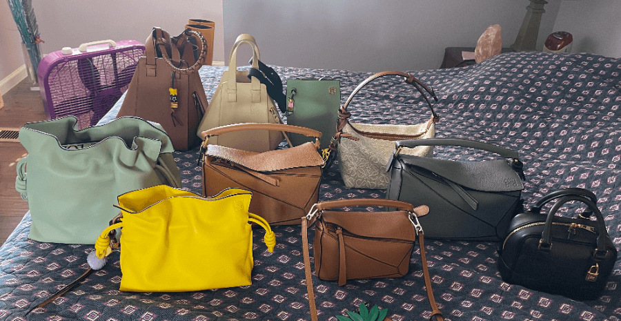 Choosing the right loewe bag