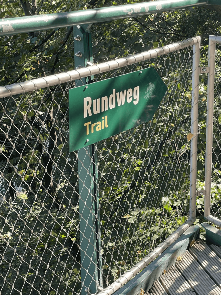 Schönbrunn zoo