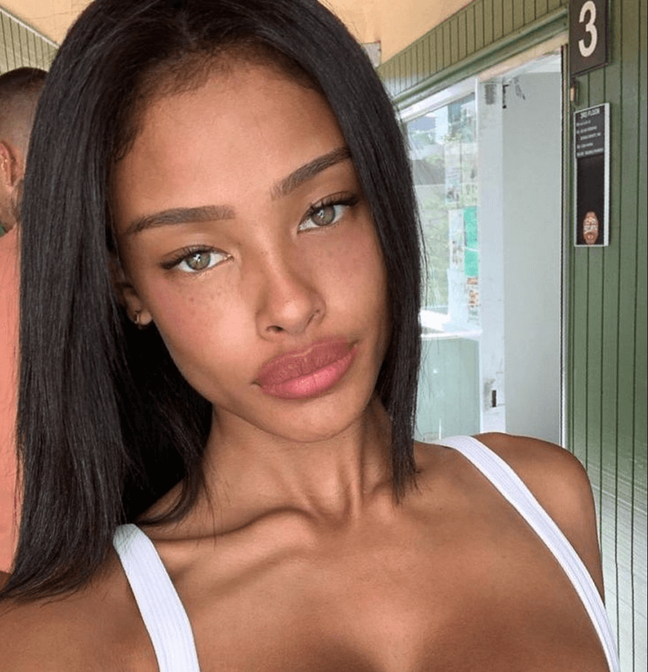 challenges twitter models face