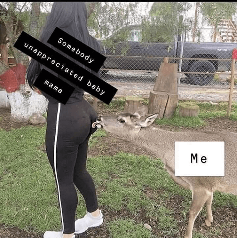 how to create your own booty meme