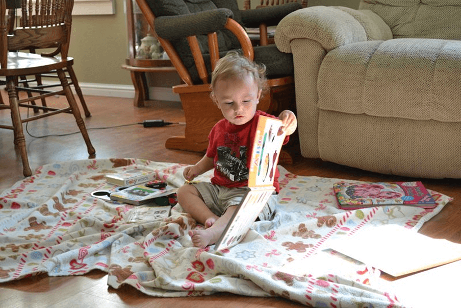why is blanket training controversial