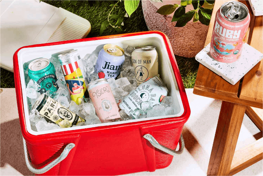 disposable cooler