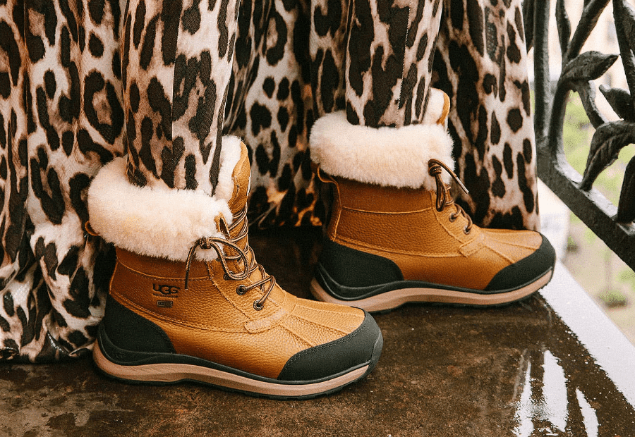 uggs dsw