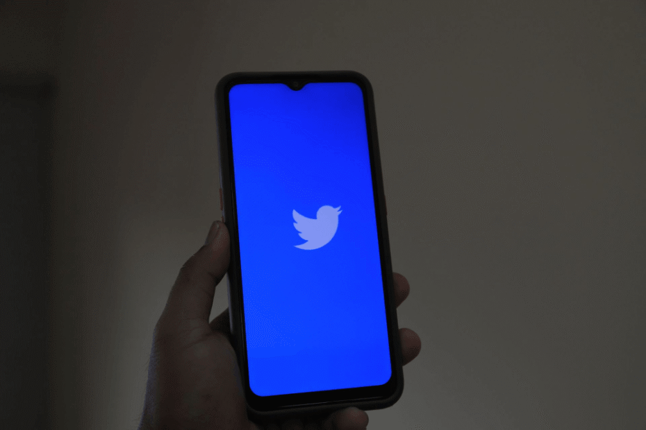 twitter deleted tweets