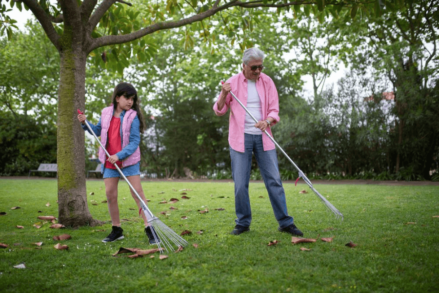when to scarify lawn